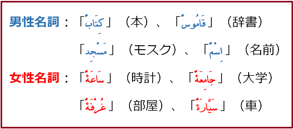 アラビア語文法 ４ アラビア語の性 ターマルブータ で女性形を作る よしくんマドラサ