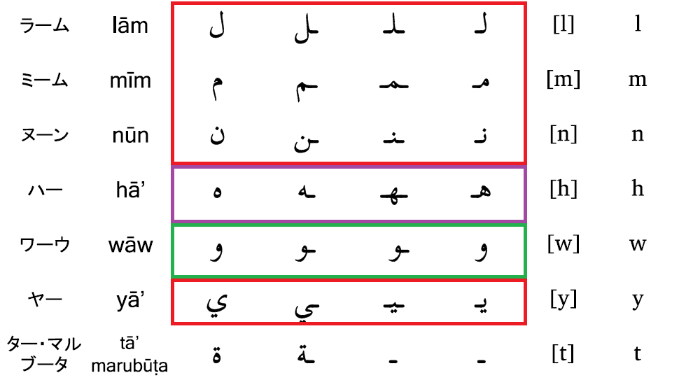 アラビア語文法 １ アラビア語のアルファベットと語根はこう考えよう よしくんマドラサ