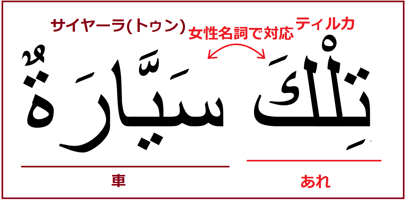 アラビア語文法 11 この あの 表現は定冠詞付き名詞の前に置く よしくんマドラサ
